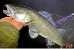 Nymfa REDBASS Nr. 1 XL - 130 mm - 1 ks