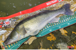 Nymfa REDBASS Nr. 1 XL - 130 mm - 1 ks