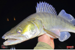 Nymfa REDBASS Nr. 1 XL - 130 mm - 1 ks