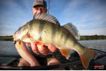 Nymfa REDBASS Nr. 1 XL - 130 mm - 1 ks