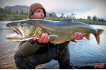 Nymfa REDBASS Nr. 1 XL - 130 mm - 1 ks
