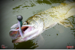 Nymfa REDBASS Nr. 1 XL - 130 mm - 1 ks