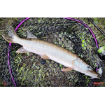 Nymfa REDBASS Nr. 1 XL - 130 mm - 1 ks