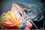 Nymfa REDBASS Nr. 1 XL - 130 mm - 1 ks