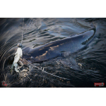 Nymfa REDBASS Nr. 1 XL - 130 mm - 1 ks