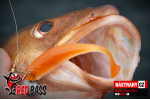 Veľký smáčik REDBASS SB