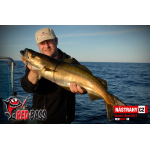 Veľký smáčik REDBASS SB
