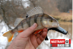 Veľký smáčik REDBASS SB