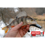 Veľký smáčik REDBASS SB