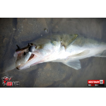 Ripper REDBASS PIKER - 155 mm