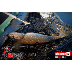 Ripper REDBASS PIKER - 155 mm