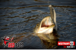 Ripper REDBASS PIKER - 135 mm