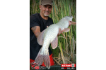 Ripper REDBASS PIKER - 135 mm