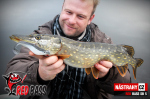 Ripper REDBASS PIKER - 155 mm