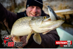 Ripper REDBASS PIKER - 135 mm