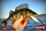 Ripper REDBASS PIKER - 135 mm