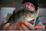 Smáčik REDBASS SCB 4