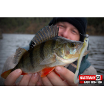 Smáčik REDBASS SCB 4