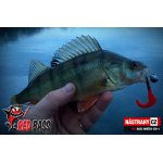 Smáčik REDBASS SCB 4