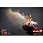 Závodná plandavka Presso MVR DAIWA 2,4 g