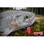 Plandavka Silver Bream - SURFACE