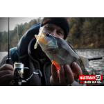 Smáčik REDBASS SLR