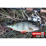 Smáčik REDBASS SLR