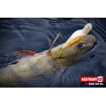 Smáčik REDBASS SLR
