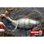 Smáčik REDBASS SLR