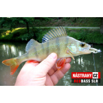 Smáčik REDBASS SLR