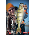 Smáčik REDBASS SLR