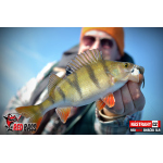 Smáčik REDBASS SLR