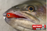 Mikrosmáčik REDBASS SSF 1