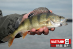 Mikrosmáčik REDBASS SSF 1
