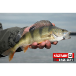 Mikrosmáčik REDBASS SSF 1