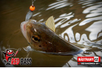 Mikrosmáčik REDBASS SSF 1