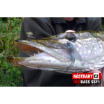 Mikrosmáčik REDBASS SSF 1