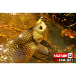 Mikrosmáčik REDBASS SSF 1