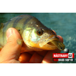 Mikrosmáčik REDBASS SSF 1B