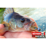 Mikrosmáčik REDBASS SSF 1B