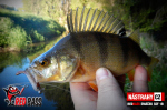 Mikrosmáčik REDBASS SSF 1B