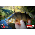 Mikrosmáčik REDBASS SSF 1B