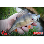 Mikrosmáčik REDBASS SSF 1B