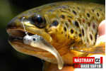 Mikrosmáčik REDBASS SSF 1B
