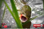 Mikrosmáčik REDBASS SSF 1B