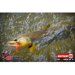 Mikrosmáčik REDBASS SSF 2