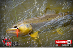 Mikrosmáčik REDBASS SSF 1B