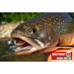 Mikrosmáčik REDBASS SSF 1B