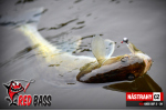 Smáčik REDBASS SSF 4