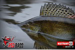Smáčik REDBASS SSF 4